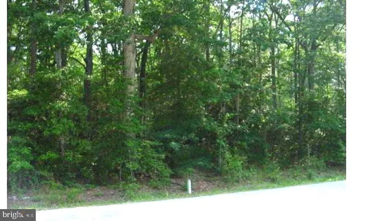 8905 Romancoke Rd, Stevensville