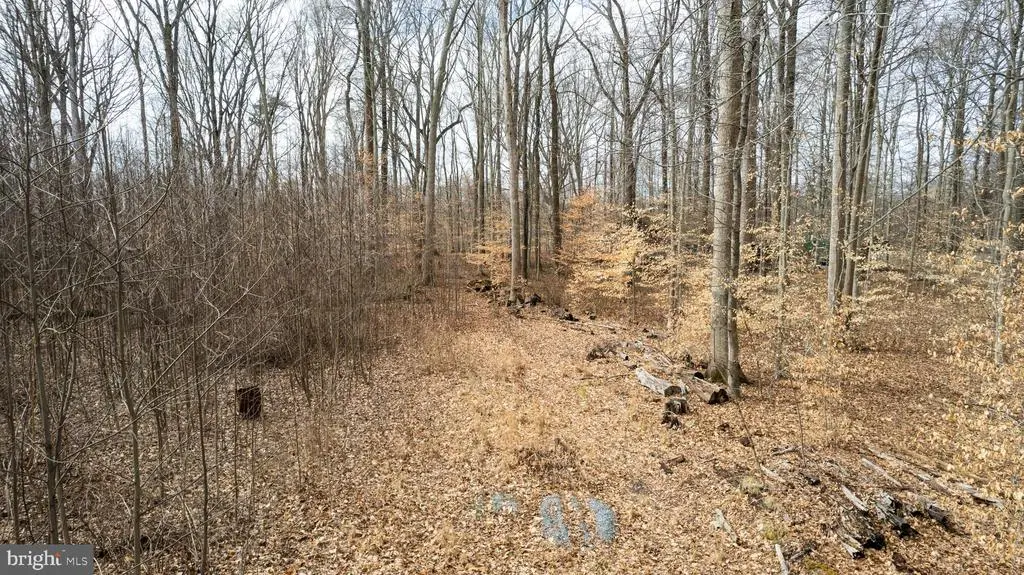 1306 John Brown Rd, Queenstown