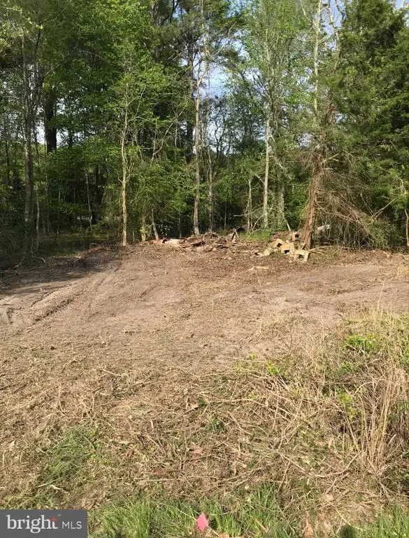 0 Capitola Rd, Tyaskin