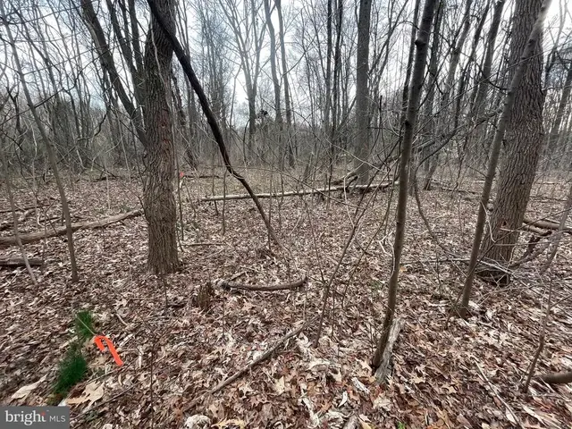Georgetown Rd, Chestertown