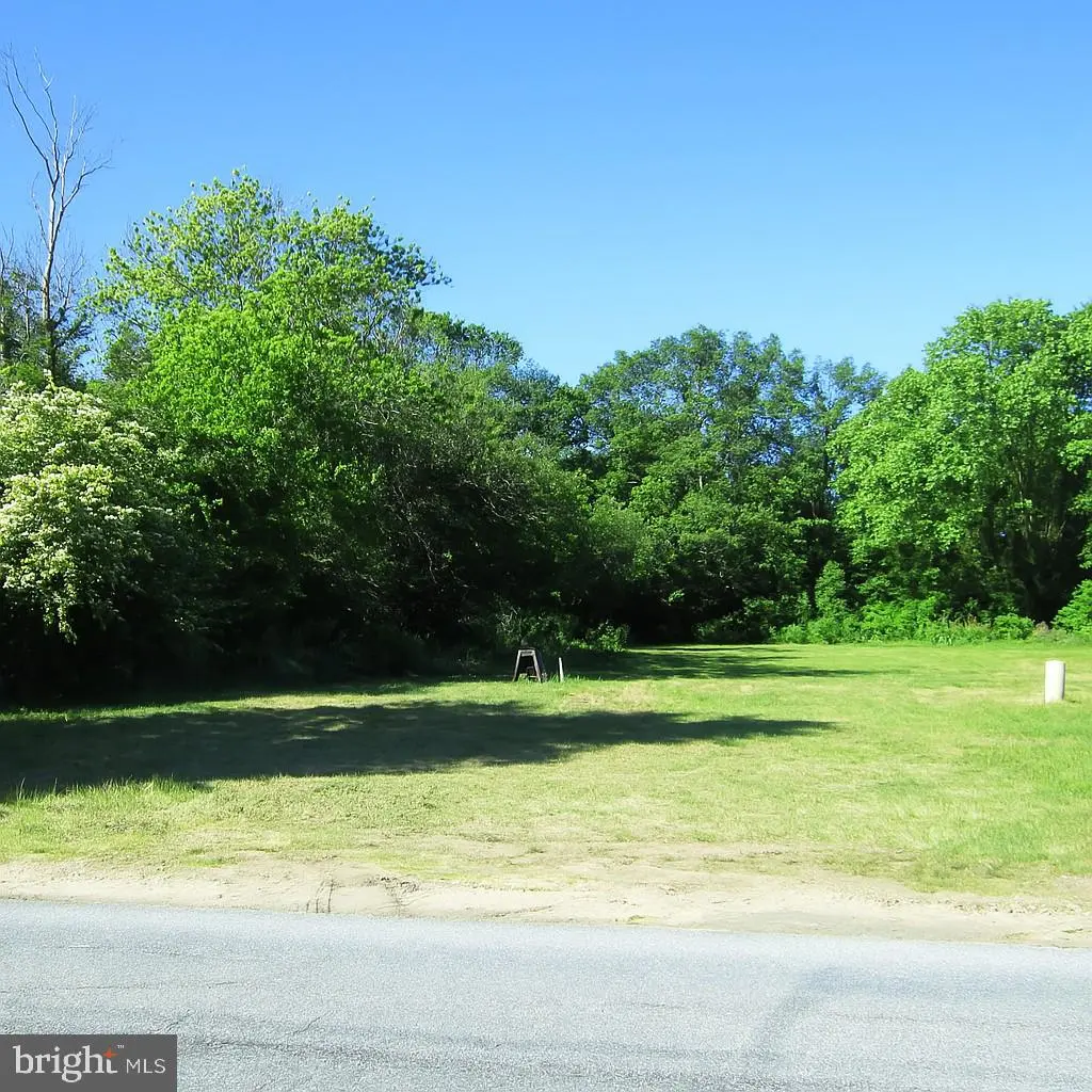 28046 Layton Davis Rd, Millsboro