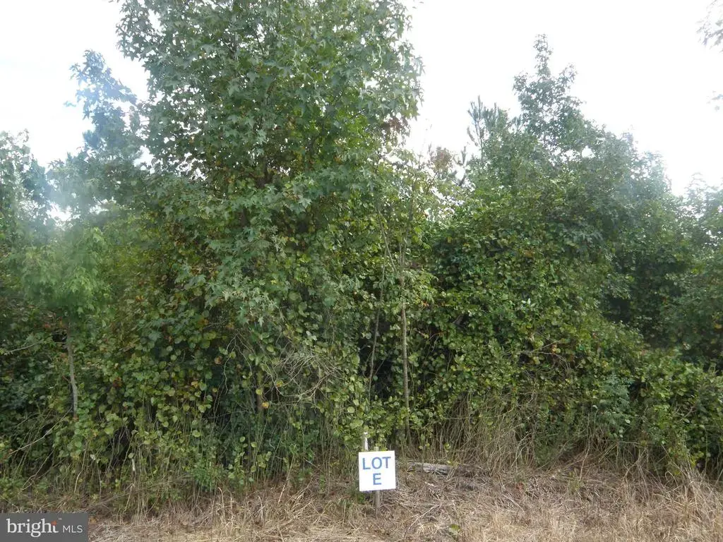 Lot E 133-9.00-9.15 Lot E 133-9.00-9.15 On Easement Off Of Shortly Rd, GEORGETOWN