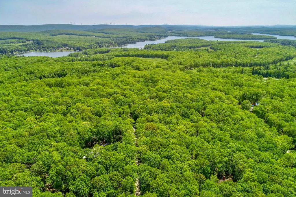 Lot 1 Thomas Cir, Swanton