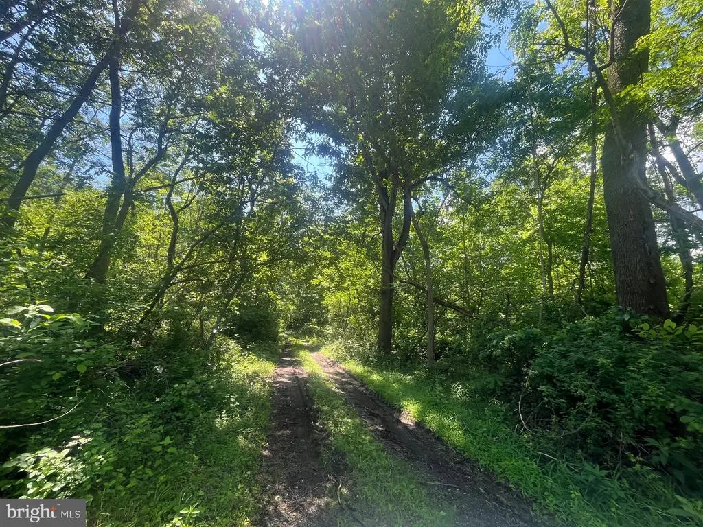 3909 Glen Cove Rd, Darlington