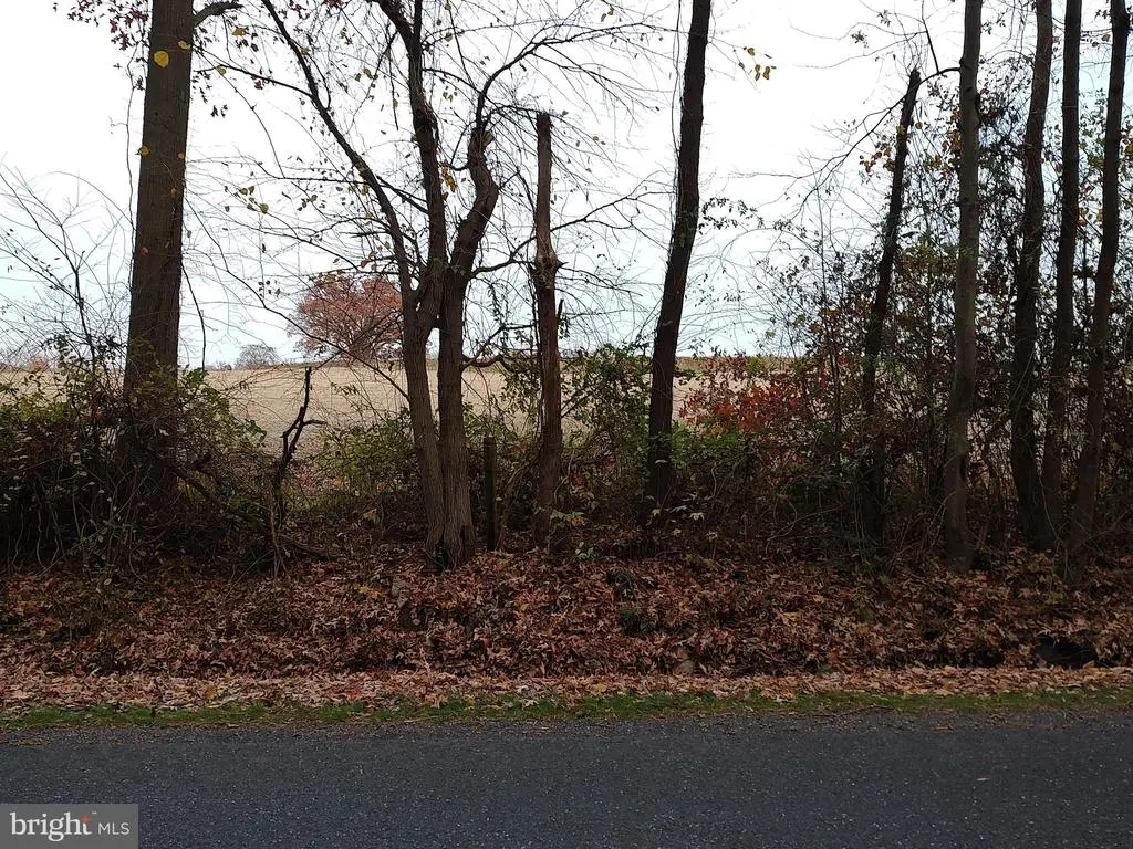 325 Greenspring Rd, Queenstown