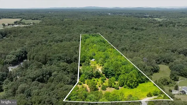 Peach Grove Road, Louisa