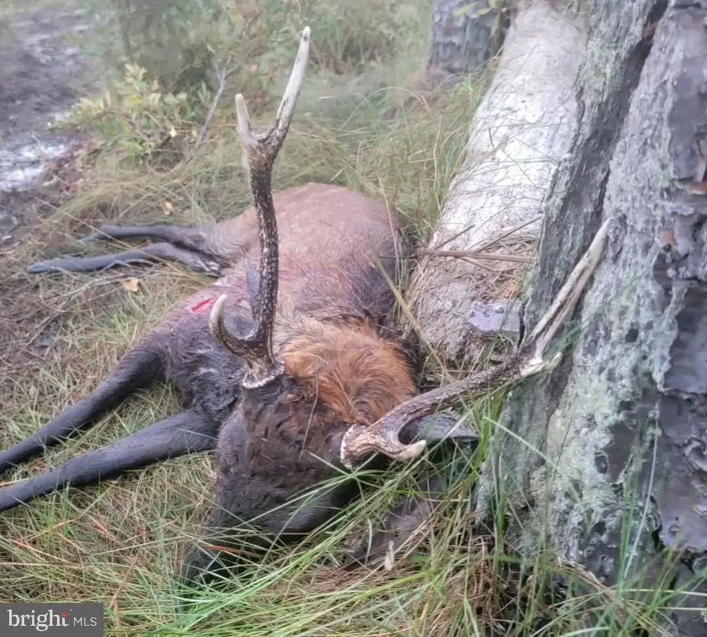 0 Cedar Creek Rd, Crapo