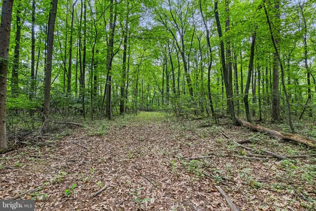 Jerusalem School Rd, Mount Wolf