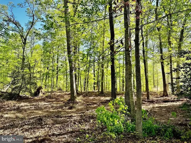 000 Lot 4 Tapps Ford, Amissville