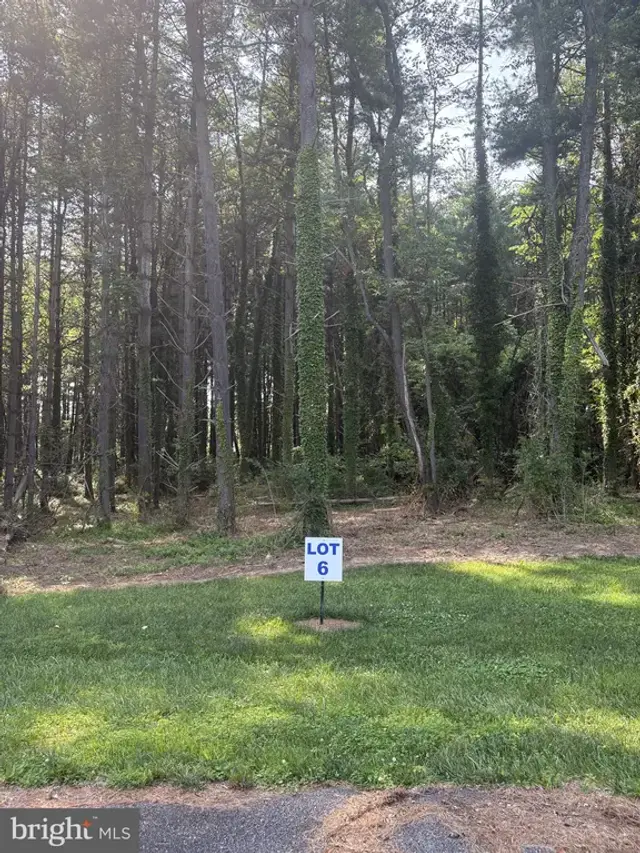6 Wilson Point Rd, Galena