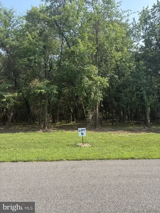 9 Wilson Point Rd, Galena
