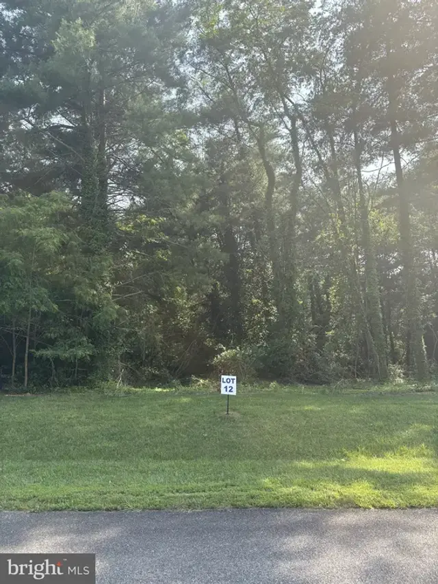 12 Wilson Point Rd, Galena