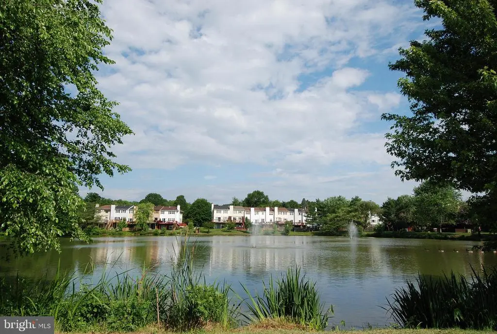 7209 Lake Cove Dr, Alexandria