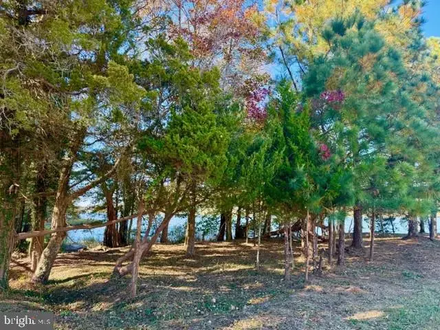 11429 Maid At Arms Ln #lot 89, Berlin