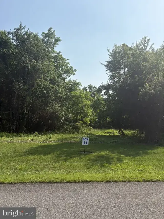 11 Wilson Point Rd, Galena