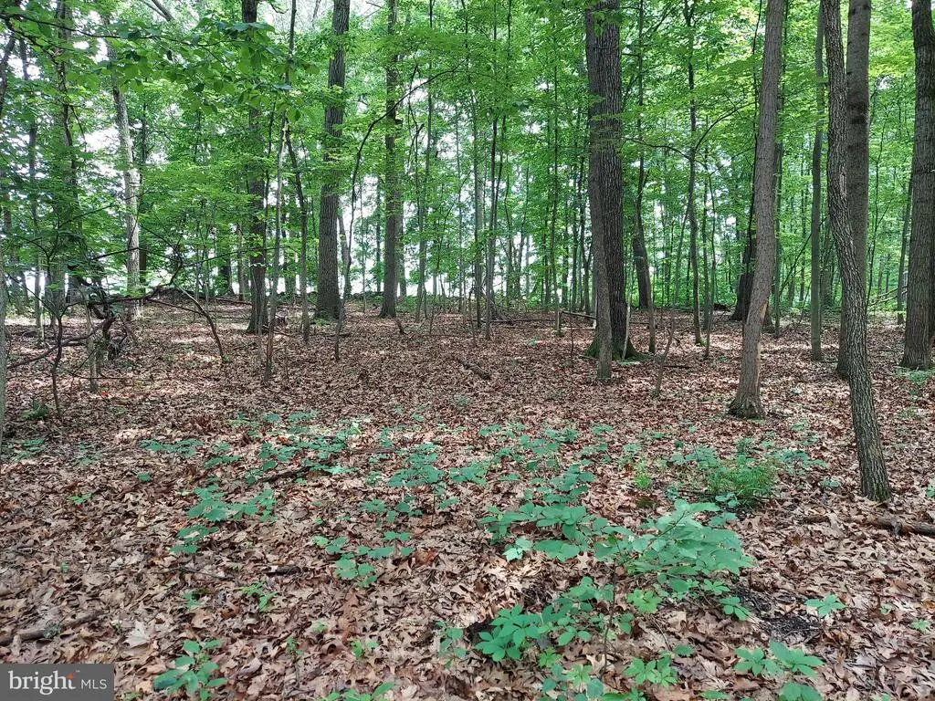 0 Copenhaffer Rd, York