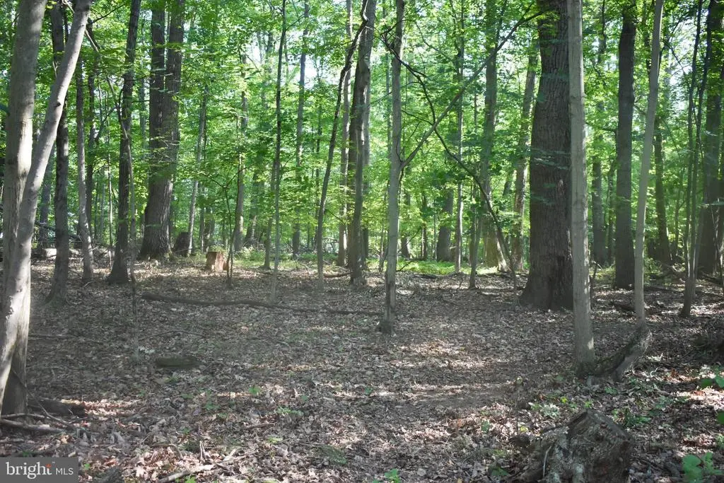 0 Cedar Grove Road, Sparks Glencoe