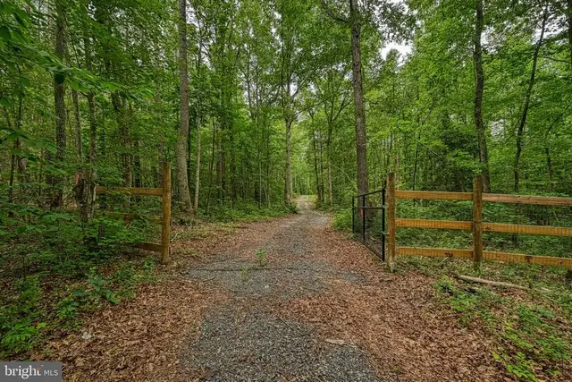 Johnson Rd, Mineral
