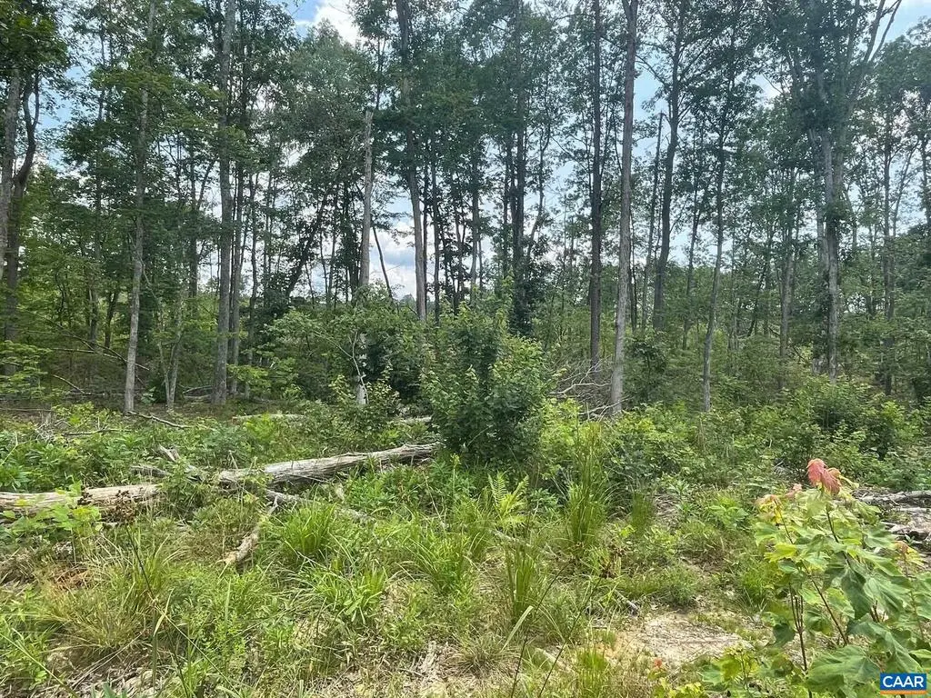 Passante Sr Ln #10 68, Gordonsville