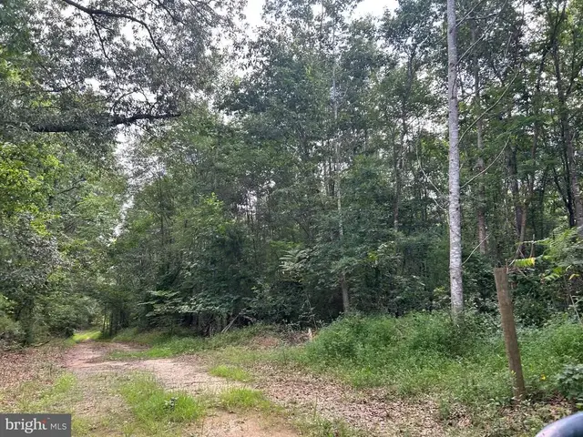 Bickers Ln, Orange