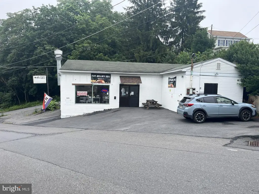 439 Heffner St, MINERSVILLE