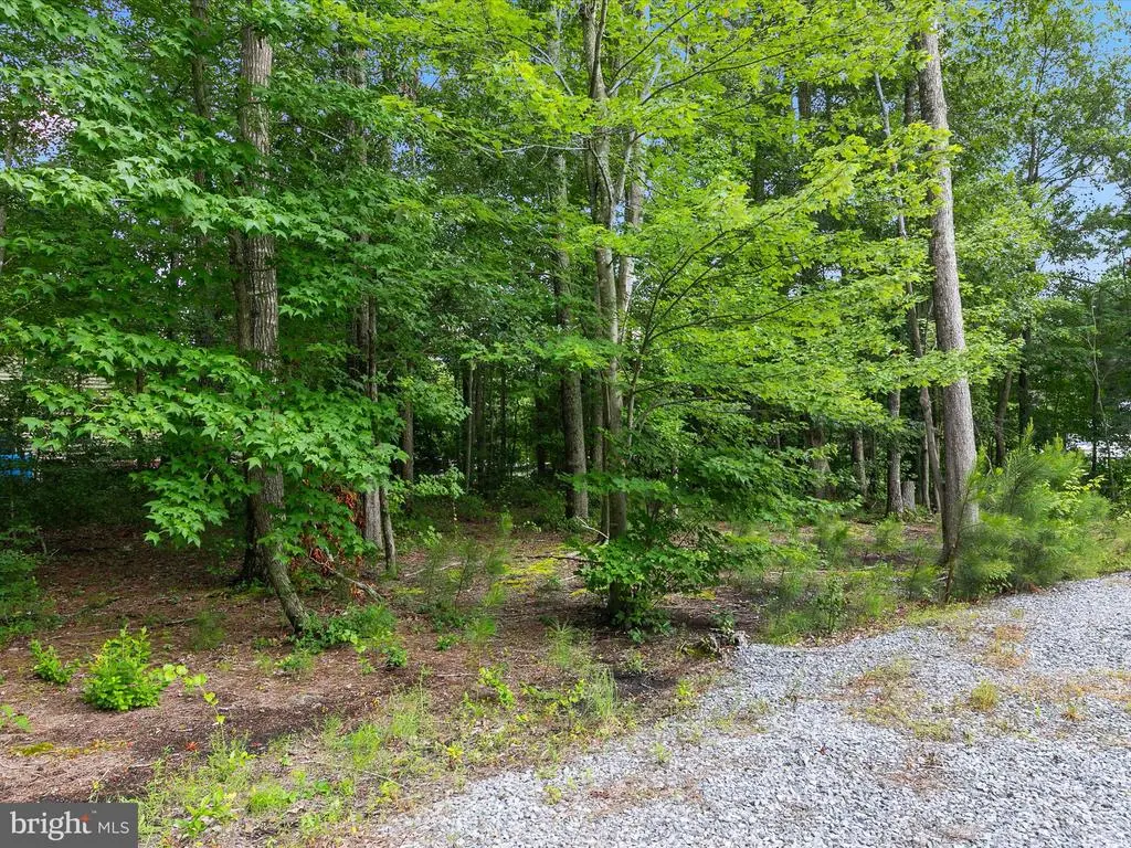 35961 Collins Ln, Selbyville