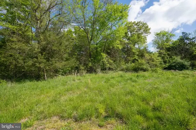 Piney Ridge Road, Remington