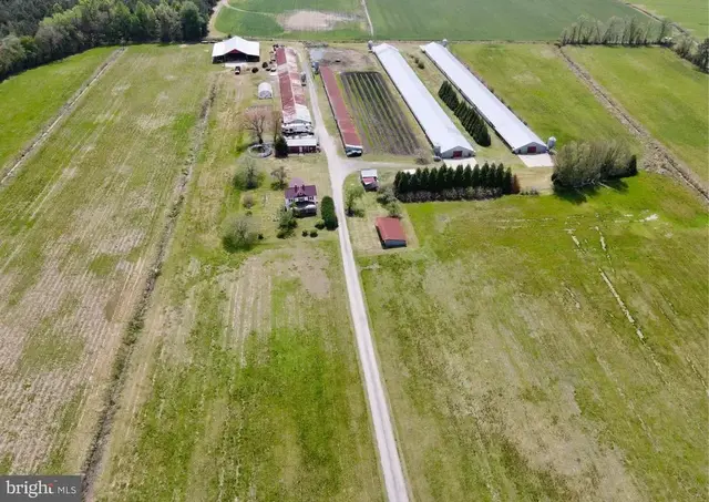 36555 Sheppards Crossing Rd, Willards