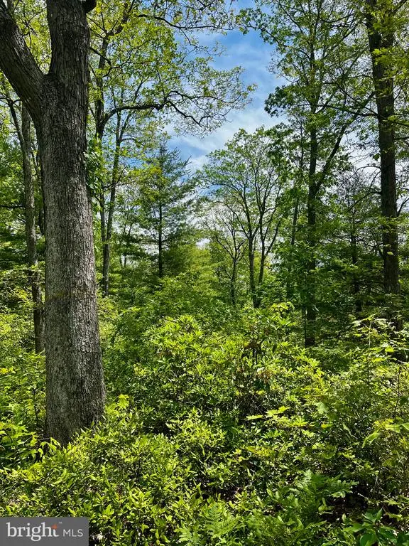 16 Beech Creek Mountain Rd, BEECH CREEK