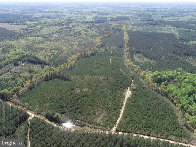 Shipping Road (tract: 7279 Svc), Dinwiddie