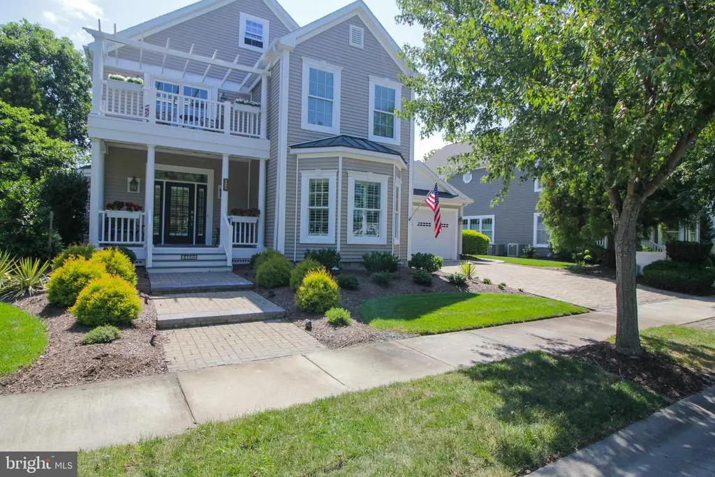 24602 Topline #4305, Long Neck