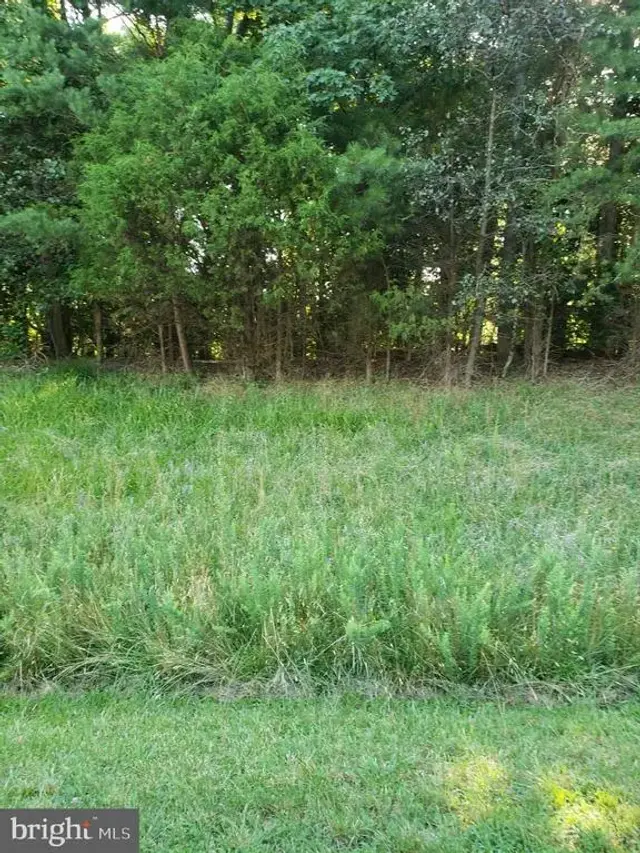 Lot 8 Lake, Lexington Park