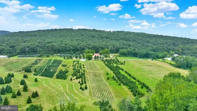 235 Camp Ground Rd, Dillsburg