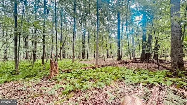 0 Kirkhoff, Westminster