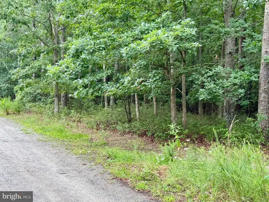0 Pinewood, LITTLE EGG HARBOR TWP