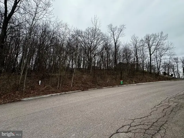 119 Braddock Hts, Frostburg