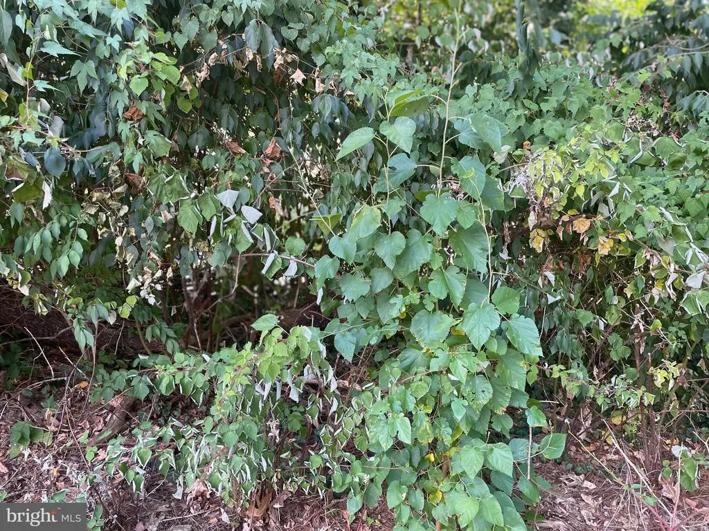 Woodfield Rd, Gaithersburg