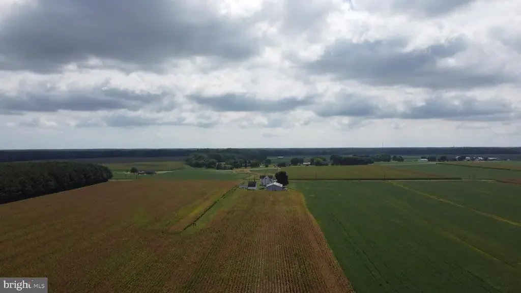 5449 Shell Rd, Snow Hill