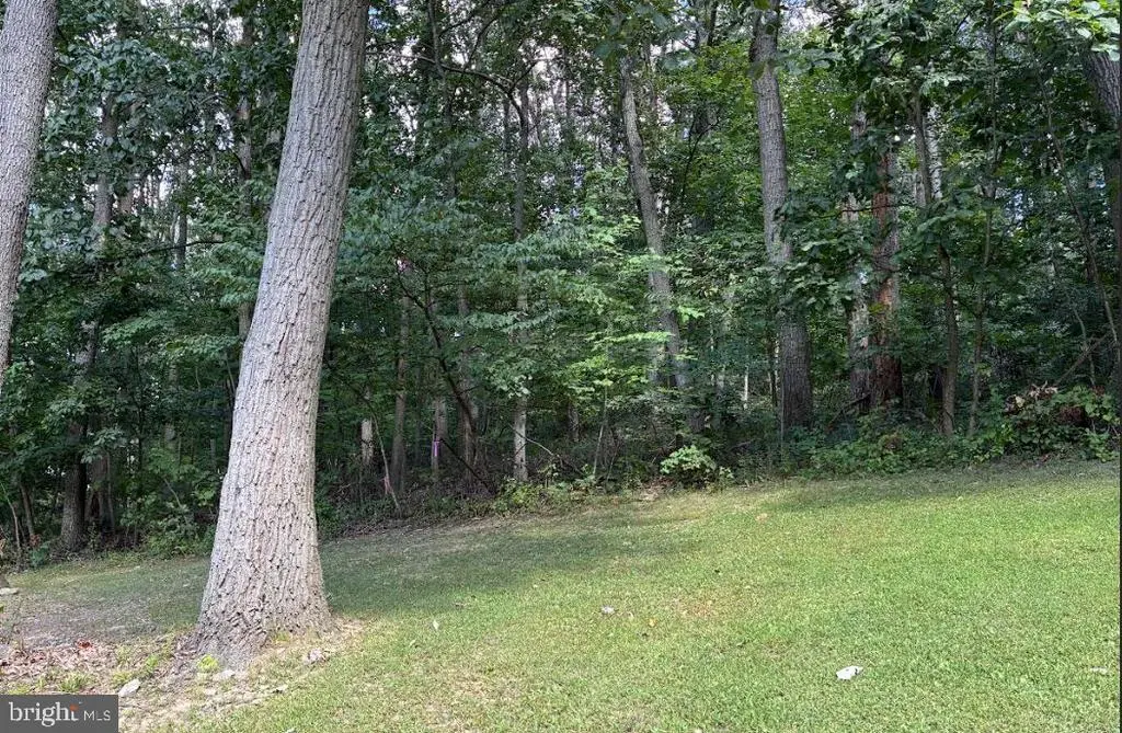 Ebbvale Rd, Manchester