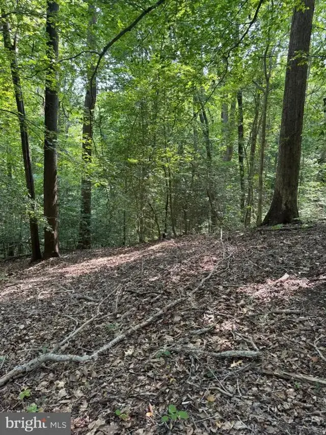 4685 Camp Roosevelt Dr, Chesapeake Beach