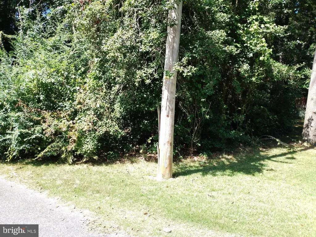 144 Allen Ave, Laurel