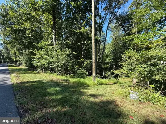 13056 Hyla Dr, Manassas