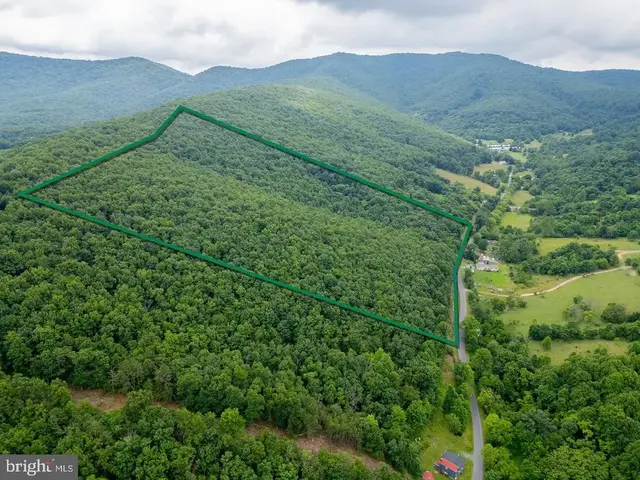 Cubbage Hollow Rd, Lot 75 - 40.55 Acres, Stanley