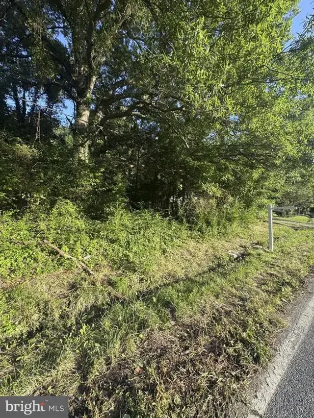 1709 Batts Neck Rd, Stevensville