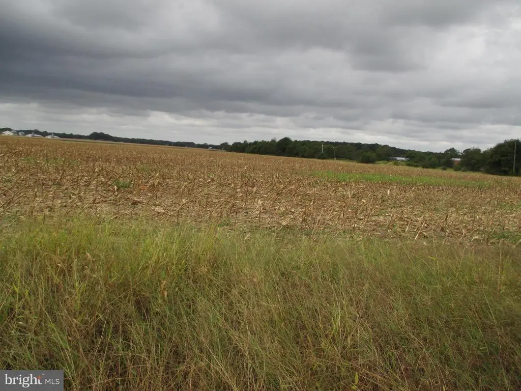 Lot 6 Gray Road, Dagsboro