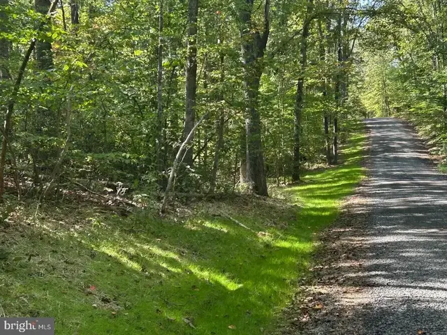 Parcel 7 Finn Ln, Elkwood