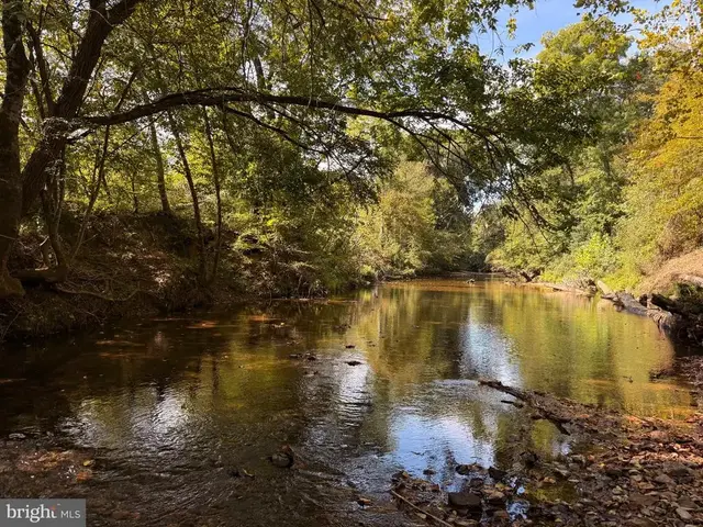 0 Coleman Mountain Rd, Appomattox