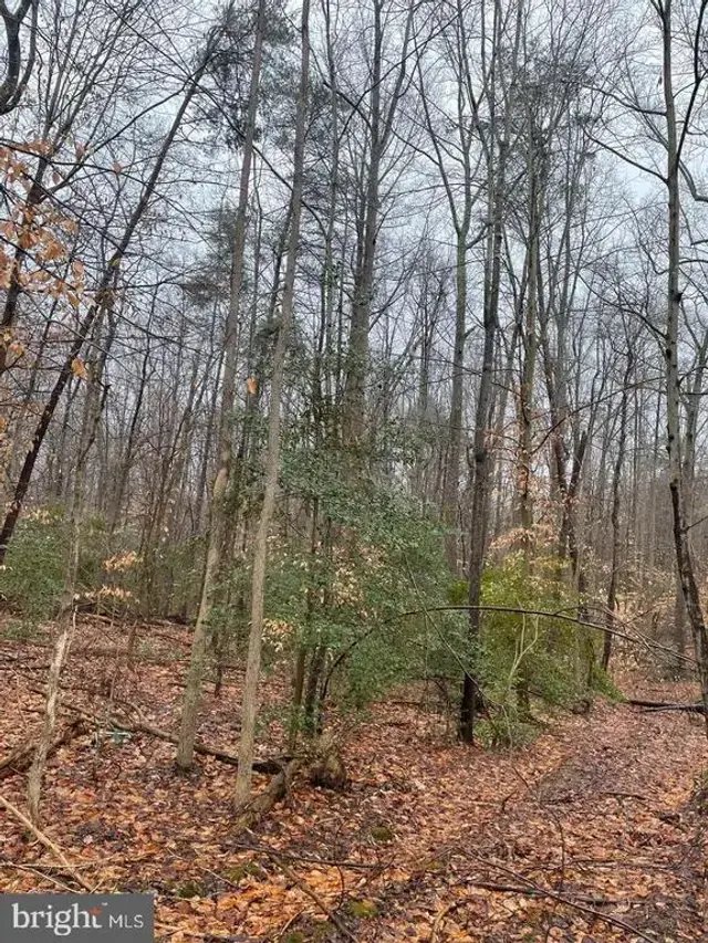 380 Mason Rd, Prince Frederick