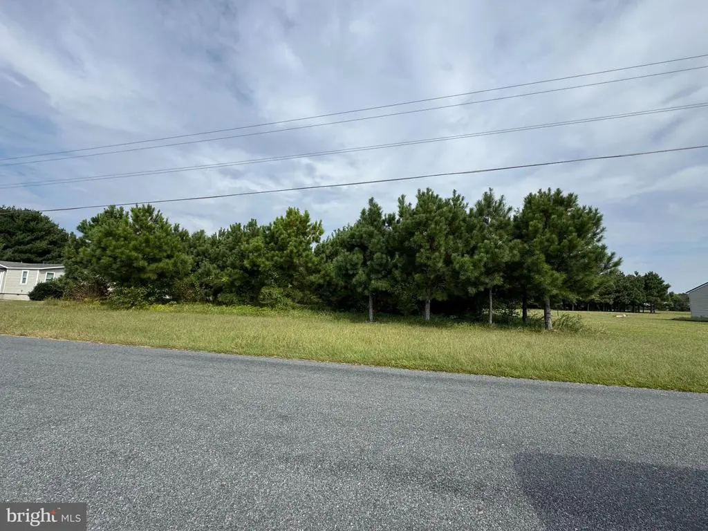 Lot A Coachmen Ln, DELMAR