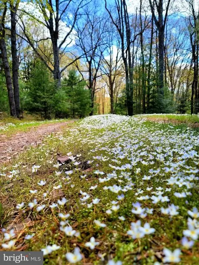 614 Graystones Jeras Rd Lot R-15, Albrightsville